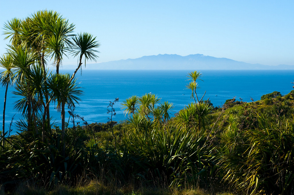 Tiritiri Matangi Island auckland new zealand (5)