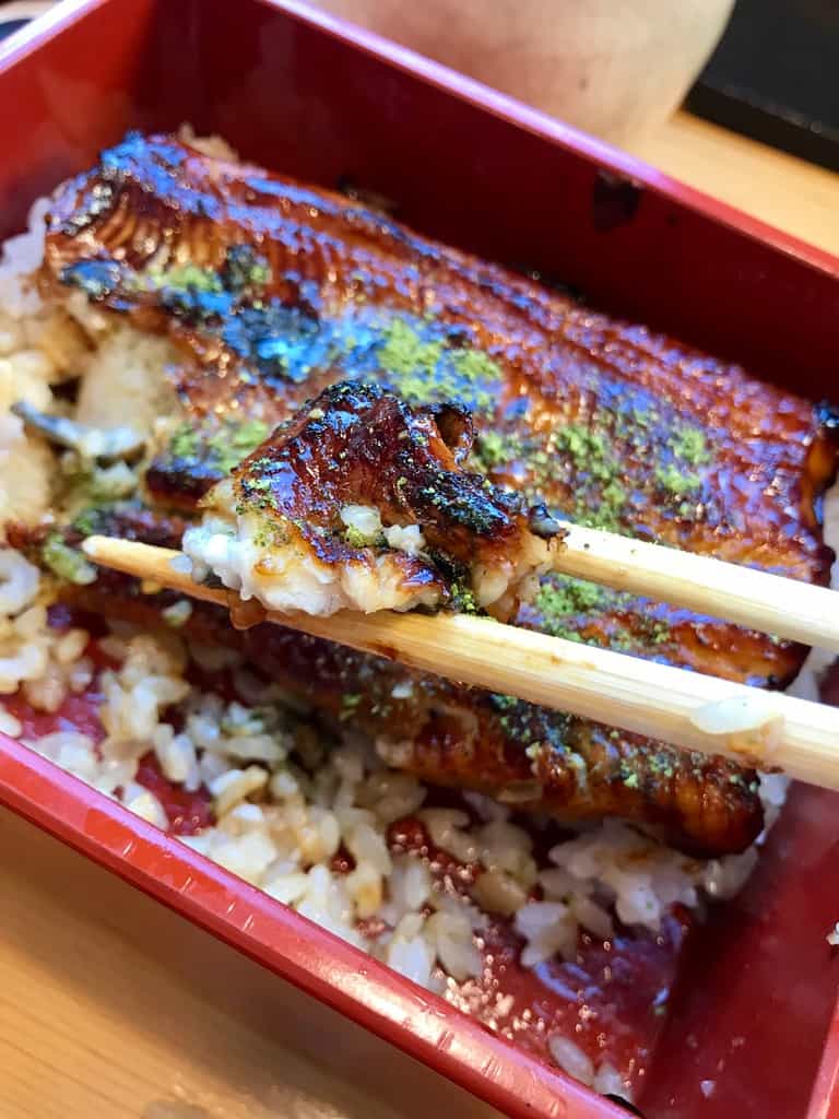 unagi grilled eel japan food (1)