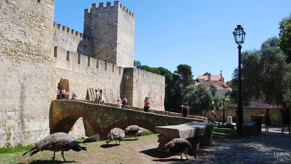 Castelo de São Jorge lisbon