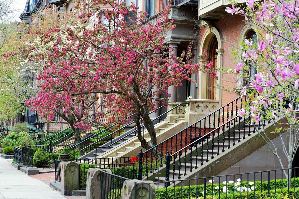 boston in spring time Boston city guide, When is the best time to travel to Boston