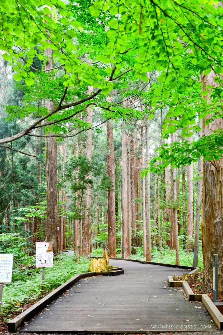 Maruyama Park sapporo (1)