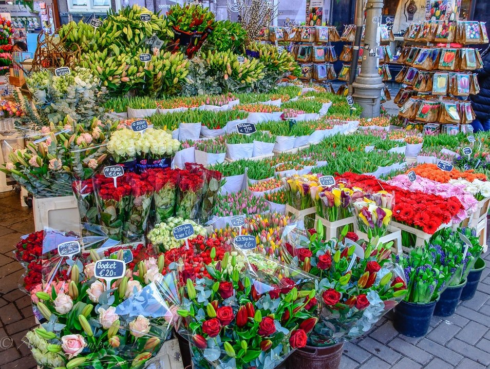 At the flower market Amsterdam The Netherlands