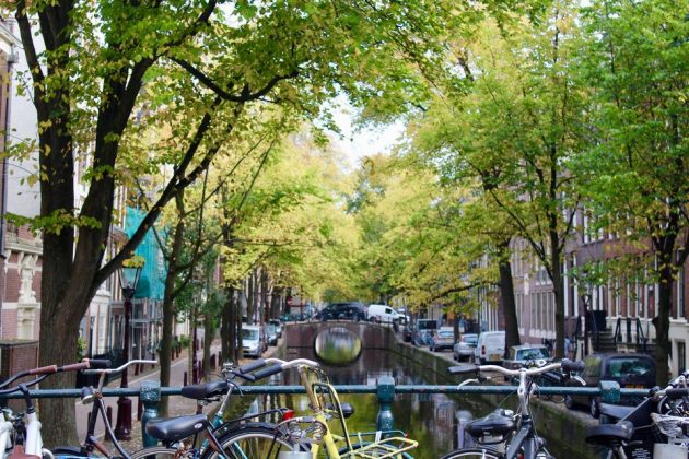 What to buy in Netherlands? — 15+ best gifts, souvenirs & best things ...