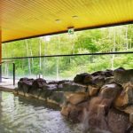 Hanamaki Onsen — Review experience Japanese Onsen bath at Hanamaki onsen resort in Kitakami