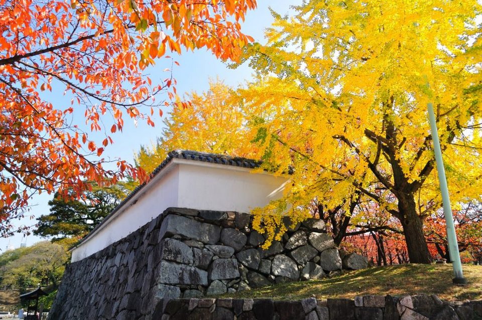 fukuoka travel blog,falls,autumn (5)