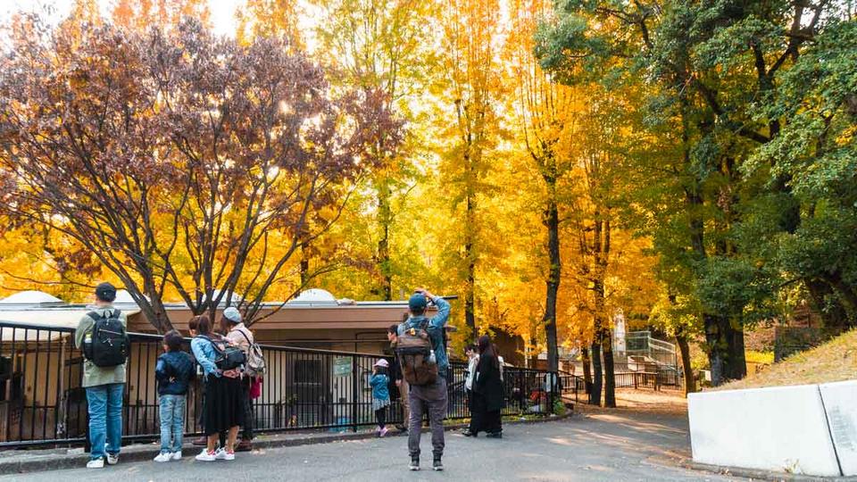 fukuoka travel blog,falls,autumn (5)