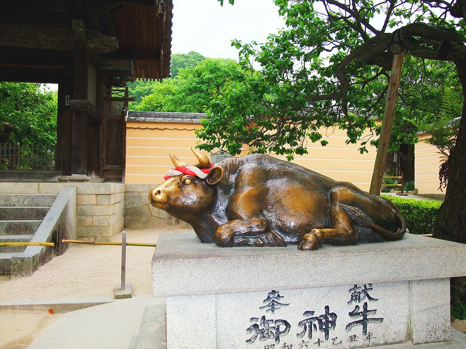 Dazaifu Tenmangu Shrine,fukuoka travel blog,fukuoka blog (1)