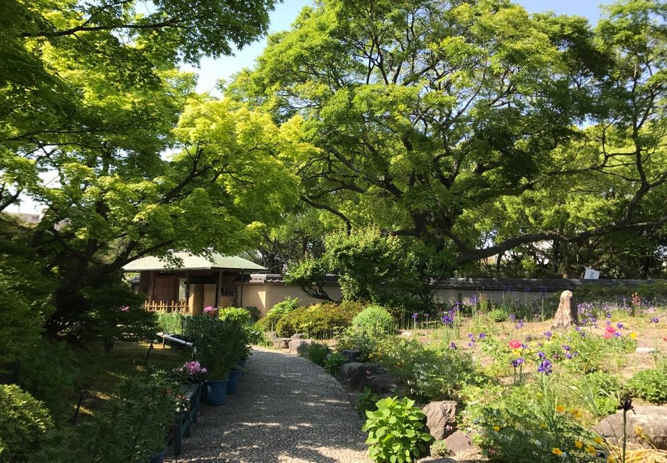 Flower Garden of Hakozaki Shrine