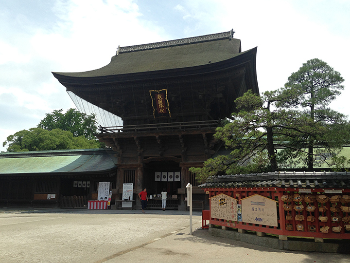 Hakozaki Shrine,fukuoka travel blog (7)