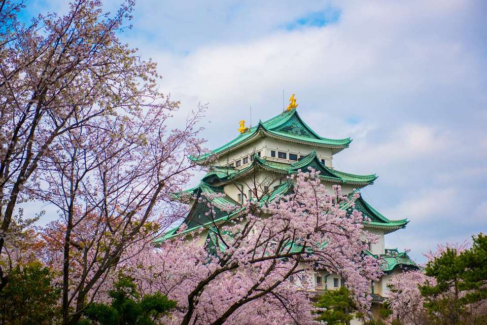 Nagoya Castle in spring