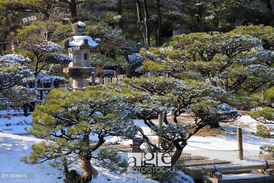 Shukkeien Garden hiroshima travel blog,hiroshima travel guide (12)