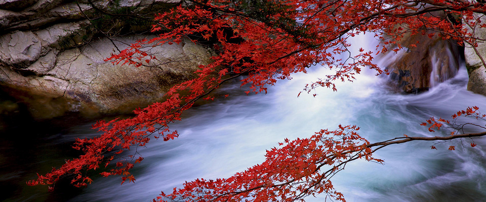 fall, autumn,hiroshima travel blog (1)