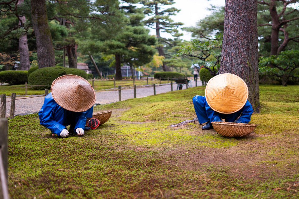 Kenroku-en Garden,kanazawa travel blog (8)