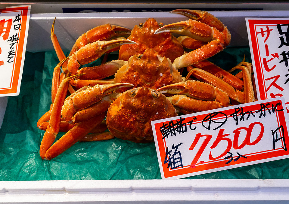 Omicho Market,kanazawa travel blog (1)