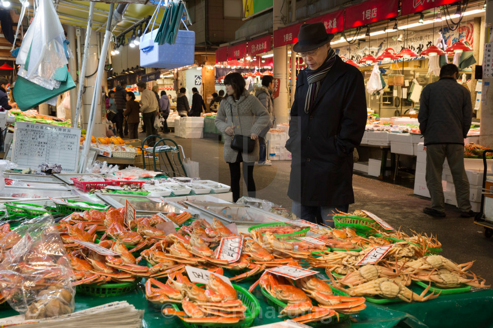 Omicho Market,kanazawa travel blog (1)