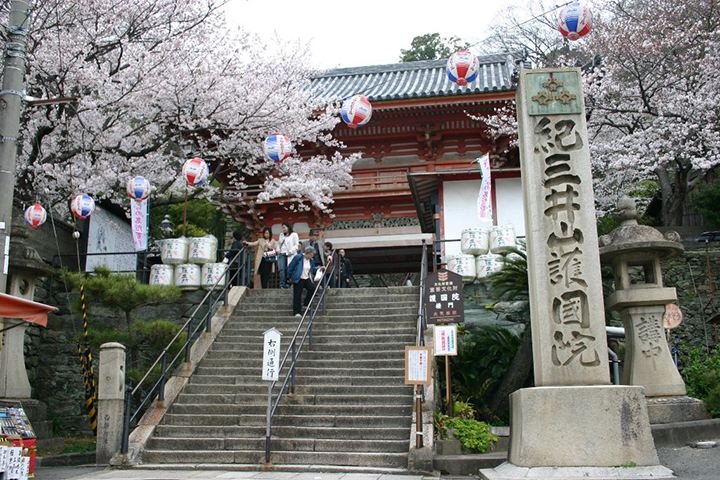 Kimii-dera Temple,wakayama travel guide,wakayama travel blog (1)