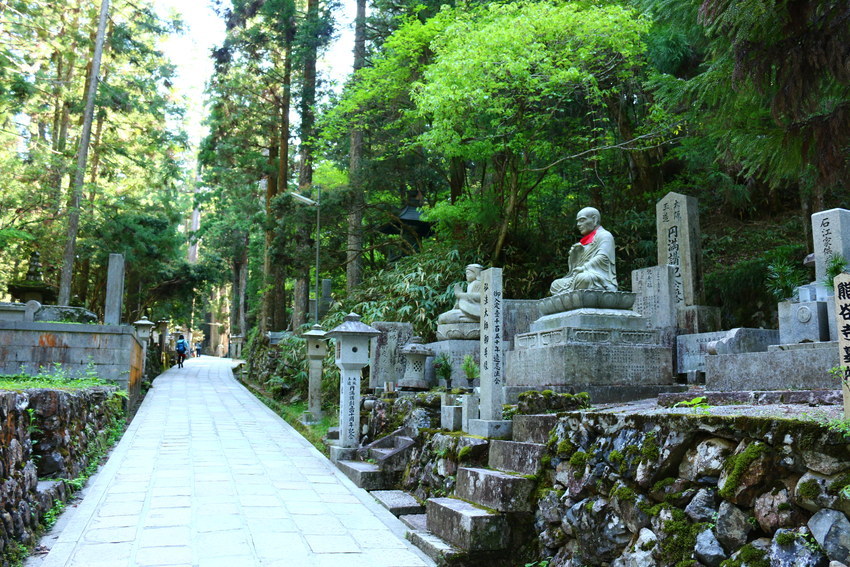 Koyasan Danjo Garan (Sacred Temple Complex),wakayama travel blog (1)