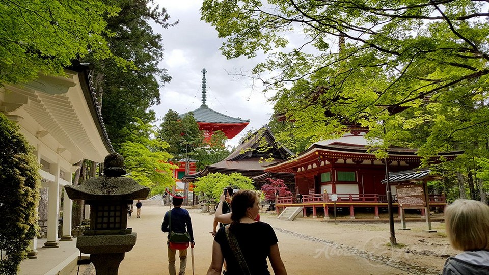 Koyasan Danjo Garan (Sacred Temple Complex),wakayama travel blog (1)