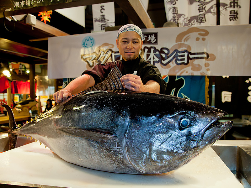 Kuroshio Fish Market,wakayama travel blog (1)