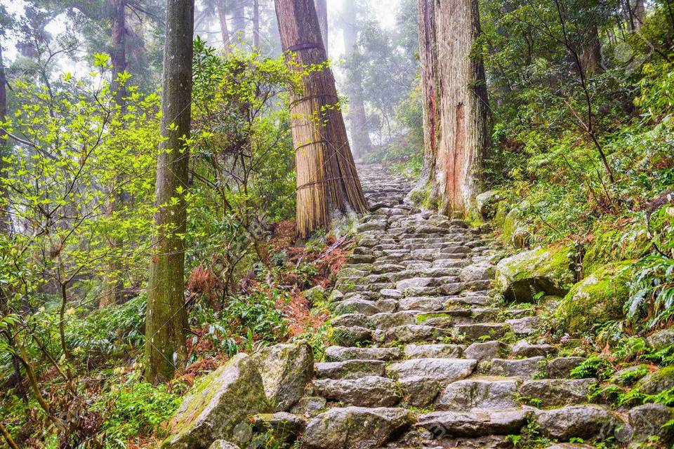 The Kumano Kodo trail, a sacred trail in Nachi, Wakayama, Japan. Stock