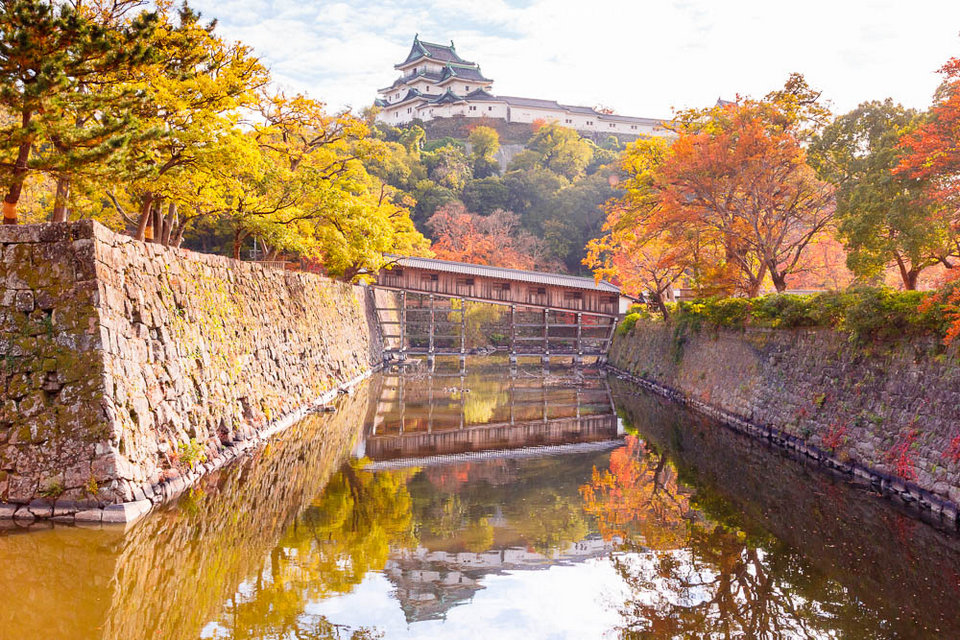 Wakayama Castle in autumn,wakayama travel blog,wakayama travel guide,wakayama blog