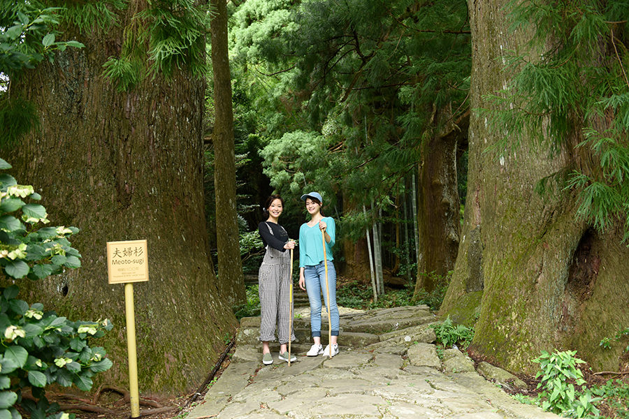 kumano-kodo-trail-JAPAN0611