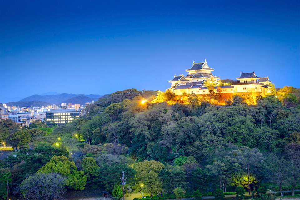 wakayama castle,wakayama travel blog,wakayama travel guide (9)
