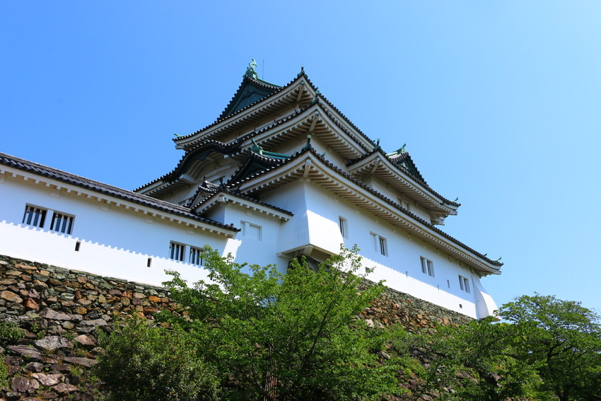 wakayama castle,wakayama travel blog,wakayama travel guide (1)
