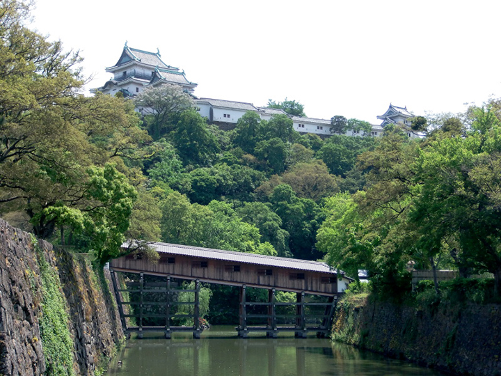wakayama castle,wakayama travel blog,wakayama travel guide (9)
