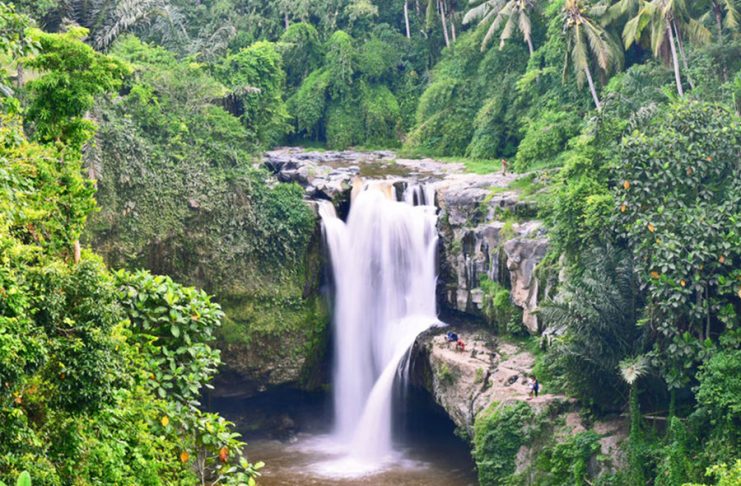 Tegenungan Waterfall (Ubud),best waterfalls in bali,most beautiful ...