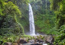 best bali waterfalls3
