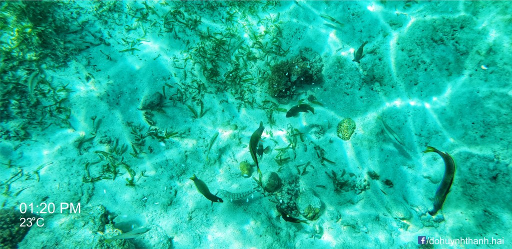 3 days in cebu,cebu itinerary 3 days,cebu itinerary 3 days 2 nights,cebu trip itinerary,what to do in cebu for 3 days (3)