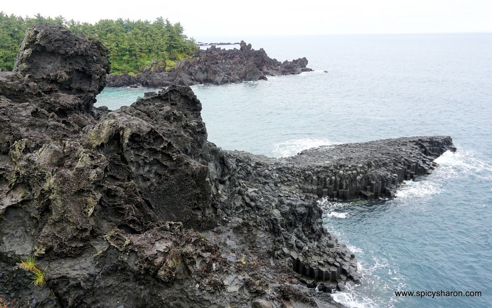 Daepo Haean Jusangjeolli Cliff,jeju day trip,jeju island itinerary,jeju island itinerary blog,jeju island trip (1)