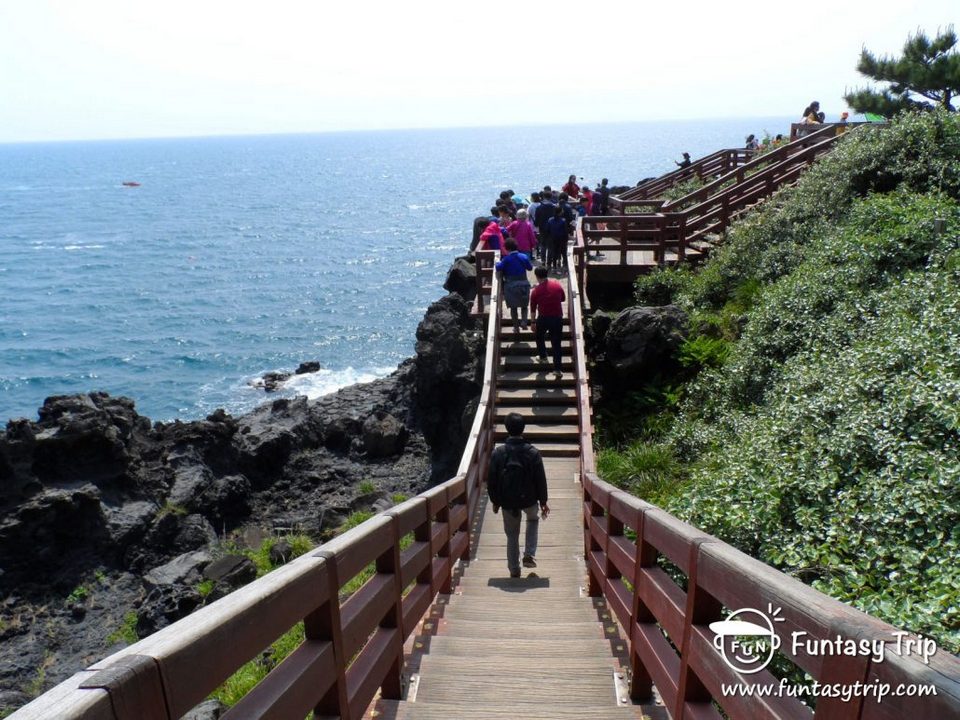 Daepo Haean Jusangjeolli Cliff,jeju day trip,jeju island itinerary,jeju island itinerary blog,jeju island trip (1)