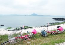 Udo Island, 4 days in jeju,jeju 4 days 3 nights itinerary,jeju 4d3n itinerary,jeju island itinerary,jeju itinerary 4 days (1)