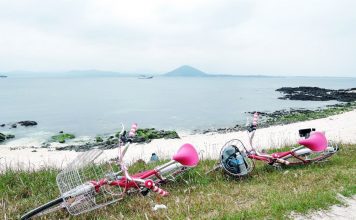 Udo Island, 4 days in jeju,jeju 4 days 3 nights itinerary,jeju 4d3n itinerary,jeju island itinerary,jeju itinerary 4 days (1)
