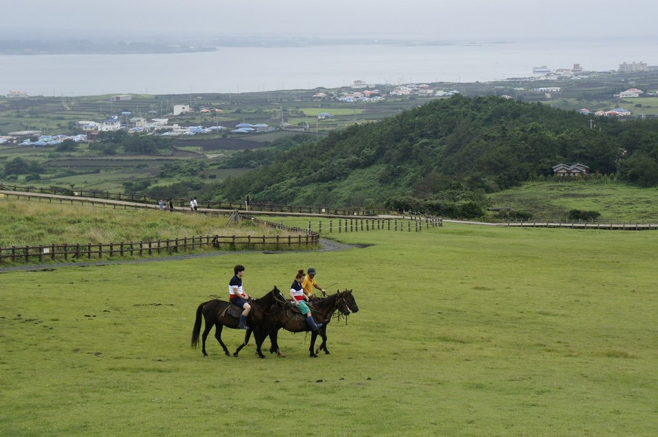 Horse ride in Udo Island