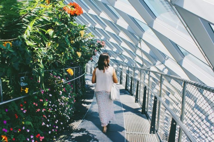 Gardens By The Bay Blog — The Fullest Gardens By The Bay Guide & How To ...