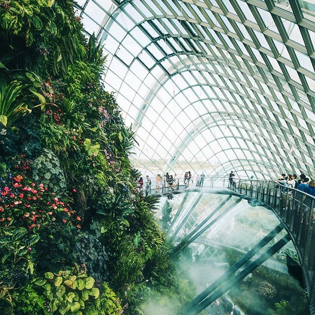The Cloud Forest,gardens by the bay blog,gardens by the bay singapore,how to visit gardens by the bay,gardens by the bay guide (1)