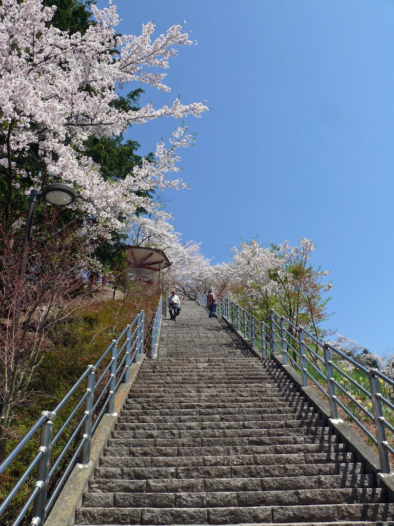 Arakurayamasengen-park4