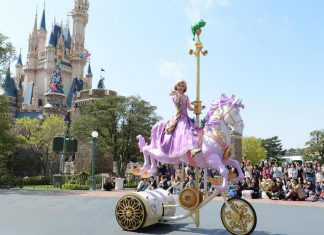 tokyo-disneyland 11