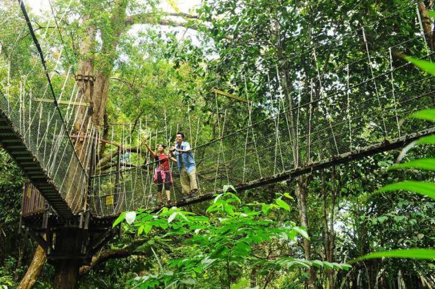 Penang National Park,best places to visit in penang malaysia,must visit ...