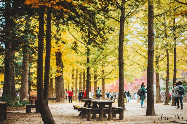 How to get to Nami island from Seoul? — How to go & how to travel to ...