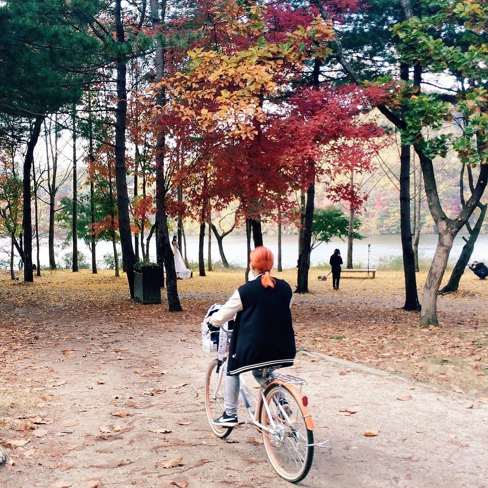 cycling nami island blog,nami island guide,nami island one day tour,nami island travel blog (2)