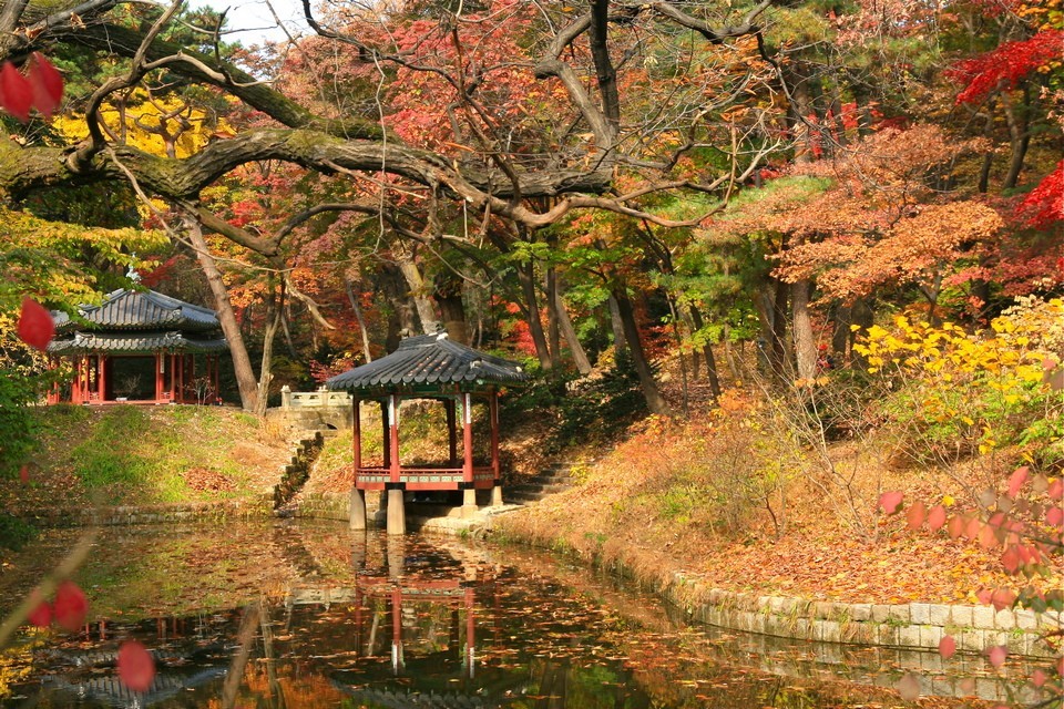 Changdeokgung Palace - Secret Garden 2_j