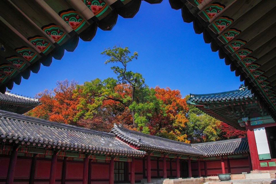 Secret-Garden-at-Changdeokgung-Palace