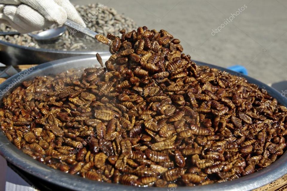 Beondegi (Crunchy Stir-fried Silkworm Pupae) (1)
