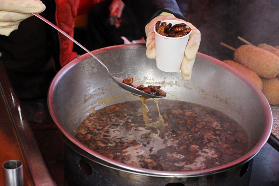 Beondegi (Crunchy Stir-fried Silkworm Pupae) (1)