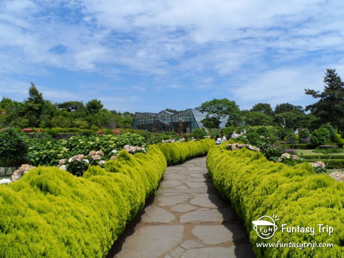 Where to go in Jeju? — Top 21 most famous, must go & best places to