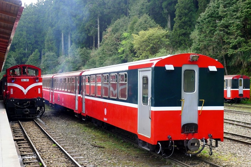 Alishan Forest Railway taiwan (2)